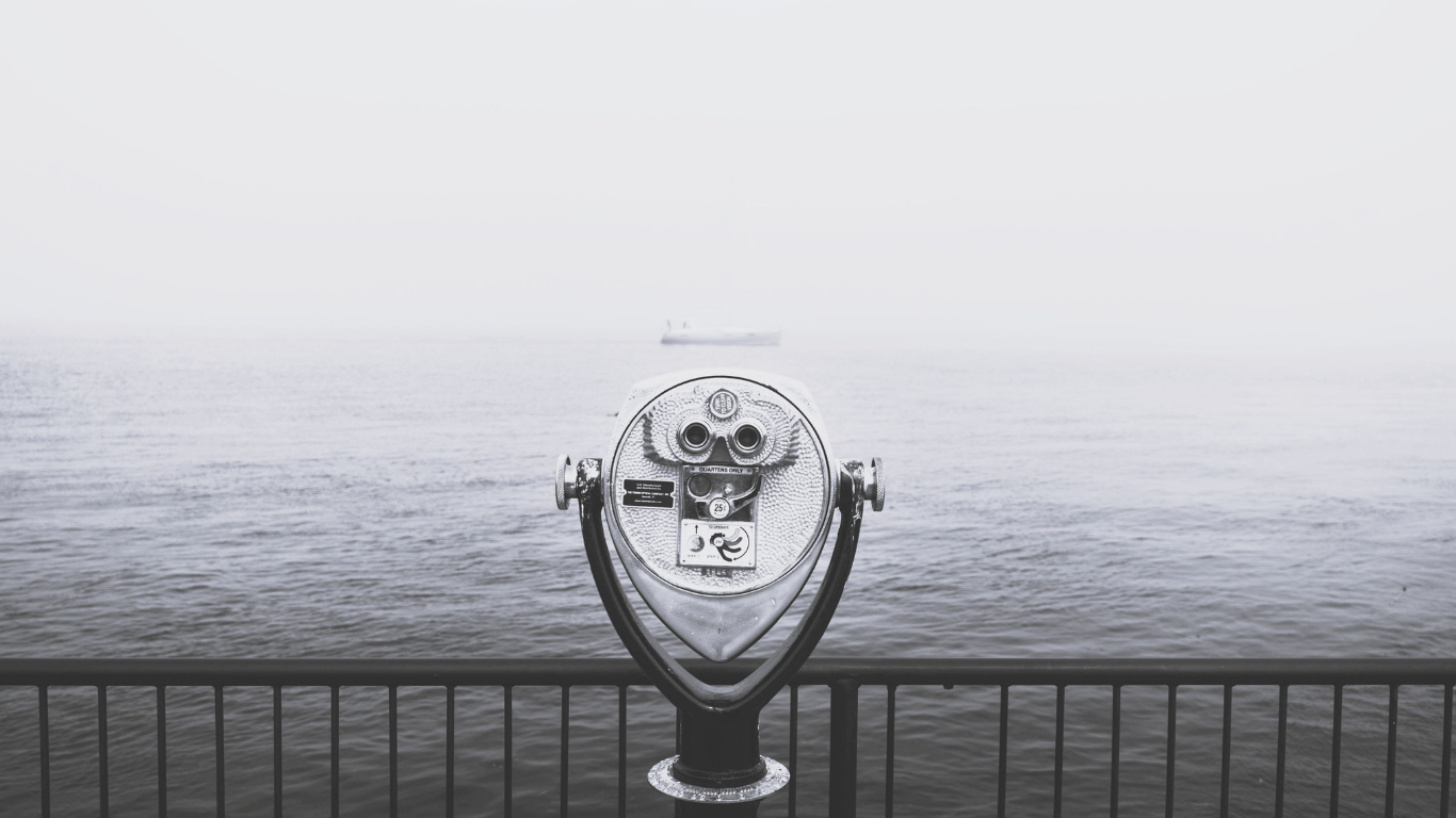 Visualize